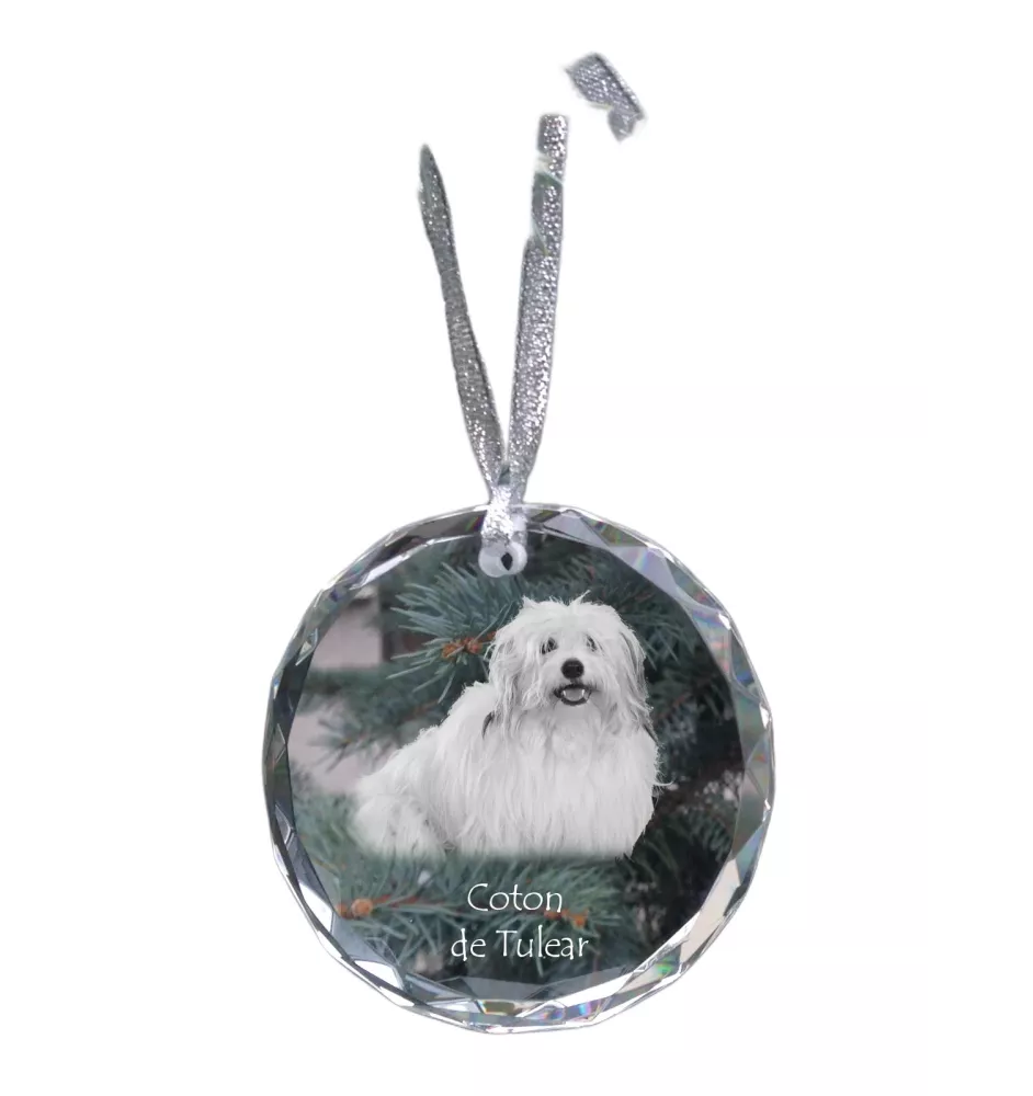 Coton de Tulear - boule de Noël en cristal avec une photo, photo de chien dans le cristal, décoration personnalisée pour sapin de Noël de la marque Art-Dog