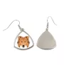 Collie à poil long, Colley à poil long, berger écossais - boucles d'oreilles avec une photo et un motif de chien géométrique Art-Dog