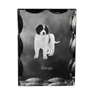 Tornjak, Bosnisch-herzegowinischer - kroatischer Schäferhund - Kristall mit einem Hundebild, Glasstatuette mit einem Bild, einzigartiger Bilderrahmen der Marke Art-Dog