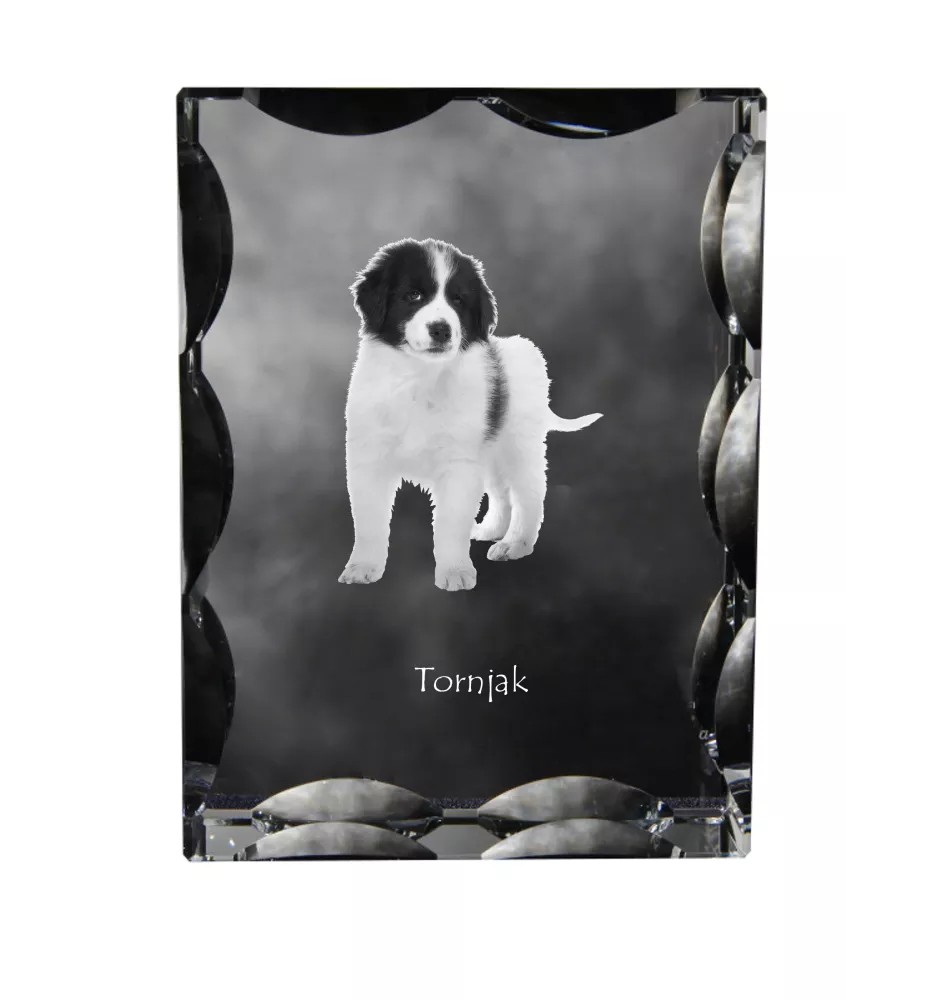 Tornjak, Bosnisch-herzegowinischer - kroatischer Schäferhund - Kristall mit einem Hundebild, Glasstatuette mit einem Bild, einzigartiger Bilderrahmen der Marke Art-Dog