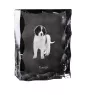 Tornjak ramka kryształowa z psem Art-Dog