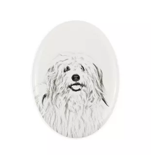Coton de Tulear - une plaque commémorative avec une photo de chien, une plaque funéraire avec une impression, une plaque ovale personnalisée de la marque Art-Dog