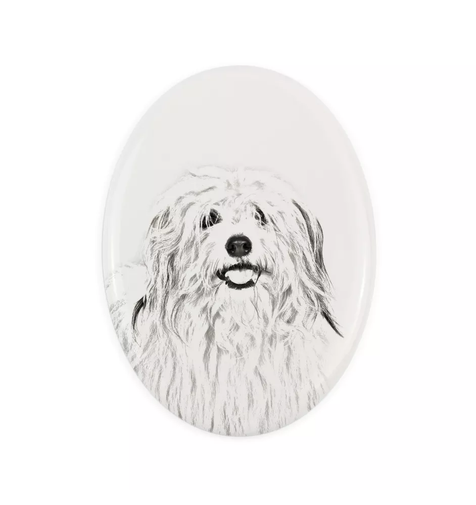 Coton de Tulear, Cotie - commemorative plaque with a photo of a dog, tombstone with a print, personalized oval plaque from the Art-Dog brand