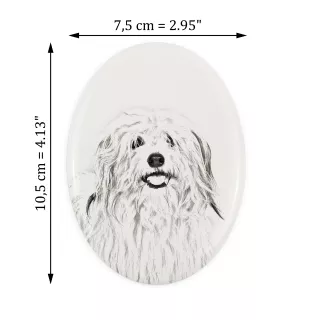 Coton de Tulear - une plaque commémorative avec une photo de chien, une plaque funéraire avec une impression, une plaque ovale personnalisée de la marque Art-Dog