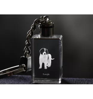 Tornjak, Berger de Bosnie-Herzégovine et de Croatie - Porte-clés en cristal avec photo de chien, porte-clés lumineux, cadeau unique de la marque Art-Dog