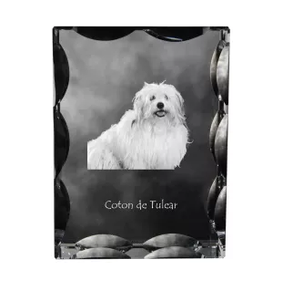 Coton de Tulear - cristal avec photo de chien, statuette en verre avec photo, cadre exceptionnel avec photo de la marque Art-Dog