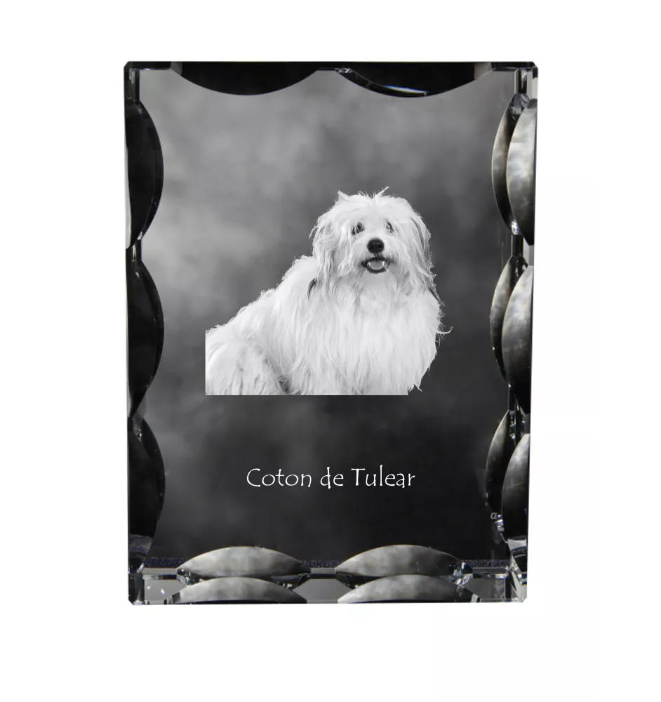 Coton de Tulear - cristal avec photo de chien, statuette en verre avec photo, cadre exceptionnel avec photo de la marque Art-Dog
