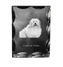 Coton de Tulear - cristal avec photo de chien, statuette en verre avec photo, cadre exceptionnel avec photo de la marque Art-Dog
