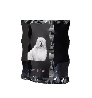 Coton de Tulear - cristal avec photo de chien, statuette en verre avec photo, cadre exceptionnel avec photo de la marque Art-Dog