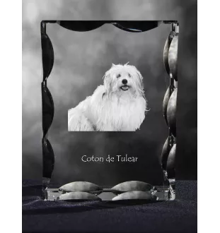 Coton de Tulear - cristal avec photo de chien, statuette en verre avec photo, cadre exceptionnel avec photo de la marque Art-Dog