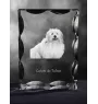 Coton de Tulear - cristal avec photo de chien, statuette en verre avec photo, cadre exceptionnel avec photo de la marque Art-Dog