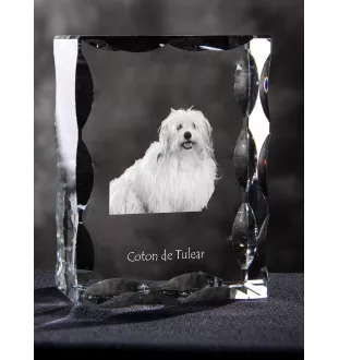 Coton de Tulear ramka kryształowa z psem Art-Dog