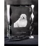 Coton de Tulear - cristal avec photo de chien, statuette en verre avec photo, cadre exceptionnel avec photo de la marque Art-Dog