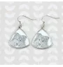 Collie à poil long, Colley à poil long, berger écossais - boucles d'oreilles avec chien, boucles d'oreilles pendantes avec photo, bijoux personnalisés avec impression de la marque Art-Dog