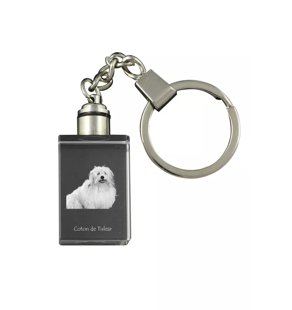 Coton de Tulear - Porte-clés en cristal avec photo de chien, porte-clés lumineux, cadeau unique de la marque Art-Dog