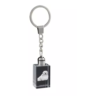 Coton de Tulear - Porte-clés en cristal avec photo de chien, porte-clés lumineux, cadeau unique de la marque Art-Dog