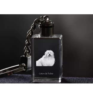 Coton de Tulear - Porte-clés en cristal avec photo de chien, porte-clés lumineux, cadeau unique de la marque Art-Dog