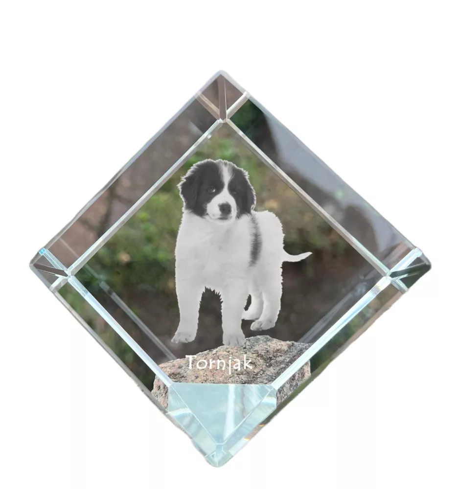 Tornjak, Bosnian And Herzegovinian - Croatian Shepherd Dog - crystal cube with a photo, photo of a horse in crystal, cubic paperweight from Art-Dog brand