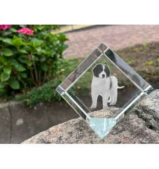 Tornjak kostka kryształowa z psem Art-Dog