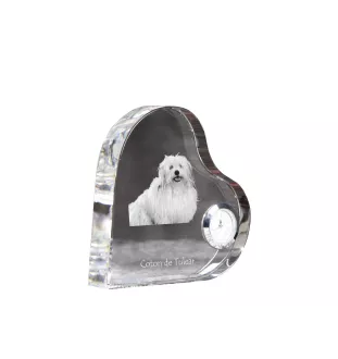 Coton de Tulear, Baumwollhund - Kristalluhr mit einem Hundebild, Herzregal-Uhr, personalisierte Standuhr der Marke Art-Dog