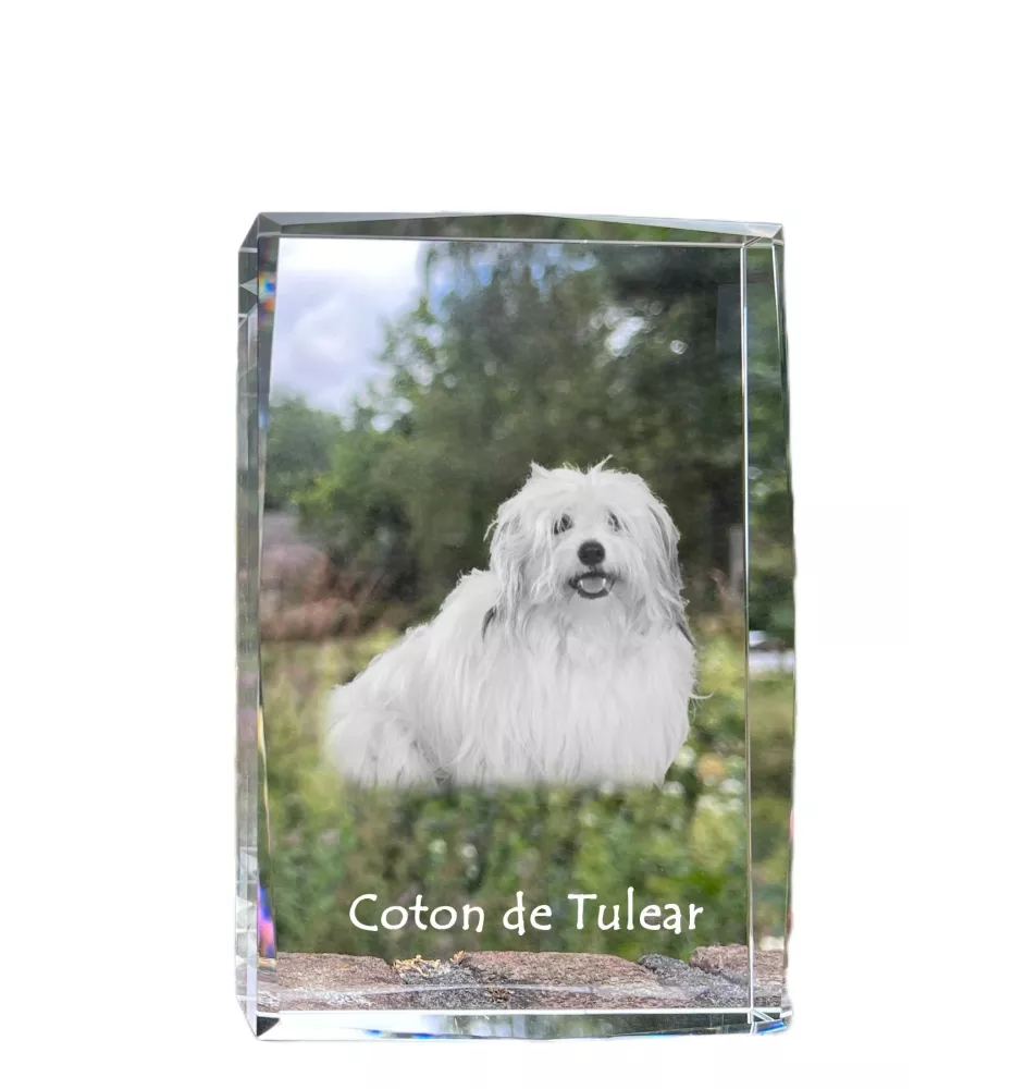 Coton de Tulear kryształ z psem Art-Dog