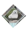 Coton de Tulear, Baumwollhund - Kristallwürfel mit Bild, Pferdebild im Kristall, sechseckiger Papierclip der Marke Art-Dog