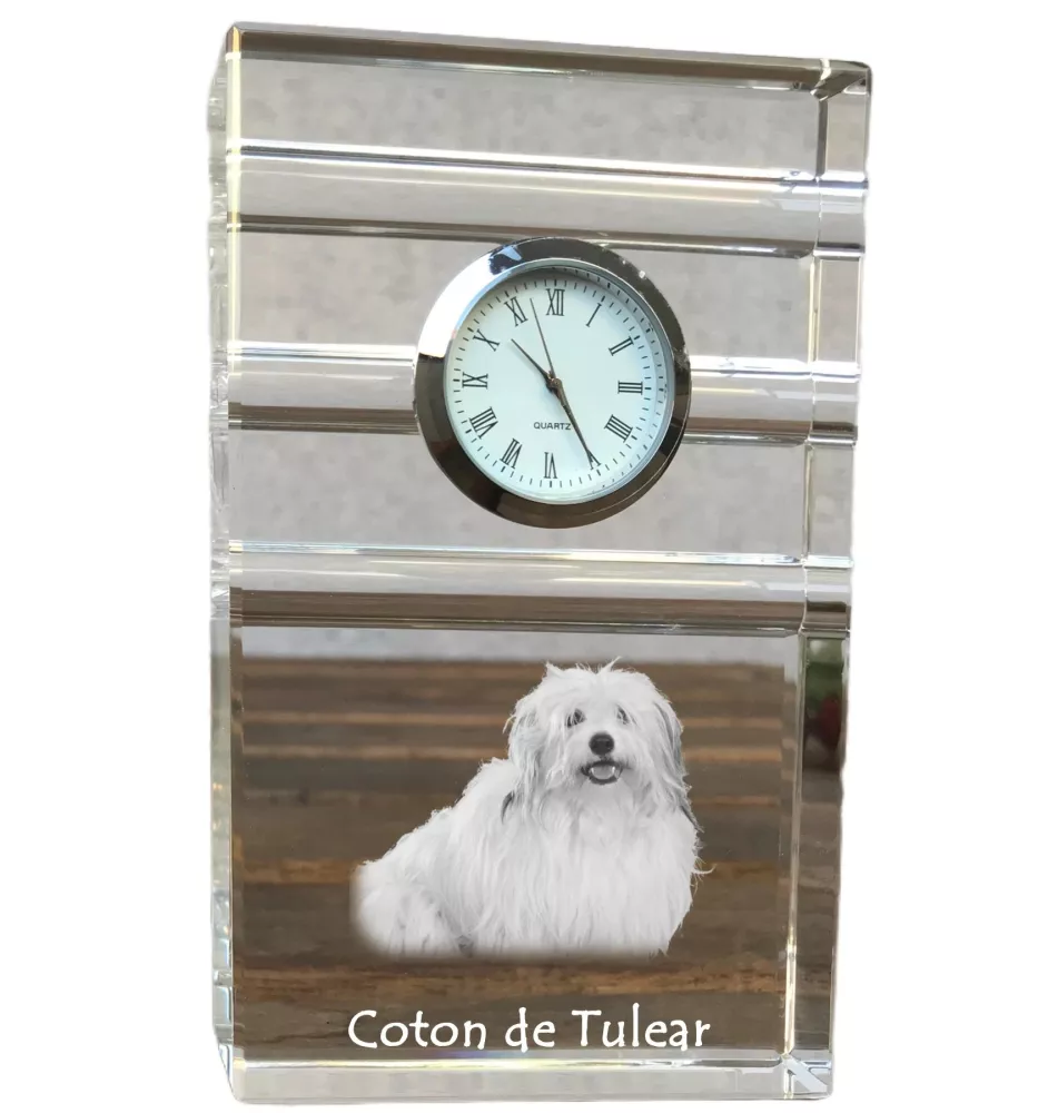 Coton de Tulear zegar trój-paskowy z psem Art-Dog