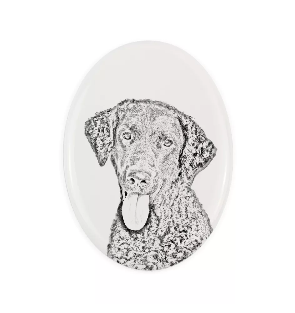 Curly Coated Retriever - Gedenktafel mit einem Foto eines Hundes, Grabplatte mit Druck, personalisierte ovale Platte der Marke Art-Dog
