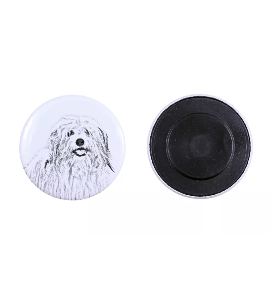 Coton de Tulear - aimant avec un œil de chien, exceptionnellement léger, aimant puissant, produit fabriqué à la main par la marque Art-Dog