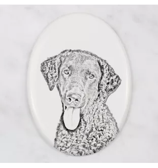 Curly Coated Retriever - Gedenktafel mit einem Foto eines Hundes, Grabplatte mit Druck, personalisierte ovale Platte der Marke Art-Dog