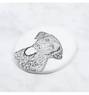 Retriever à poil bouclé, Curly Coated Retriever - une plaque commémorative avec une photo de chien, une plaque funéraire avec une impression, une plaque ovale personnalisée de la marque Art-Dog