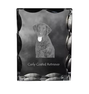 Curly Coated Retriever - Kristall mit einem Hundebild, Glasstatuette mit einem Bild, einzigartiger Bilderrahmen der Marke Art-Dog