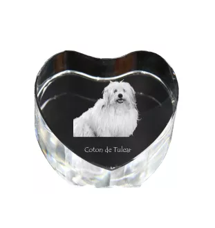 Coton de Tulear - une photo de chien dans un cristal, un cœur en cristal, un cadre photo exceptionnel de la marque Art-Dog