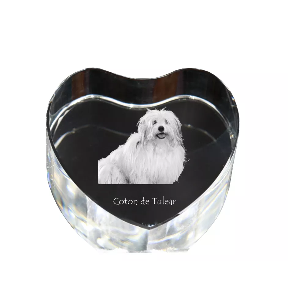 Coton de Tulear - une photo de chien dans un cristal, un cœur en cristal, un cadre photo exceptionnel de la marque Art-Dog