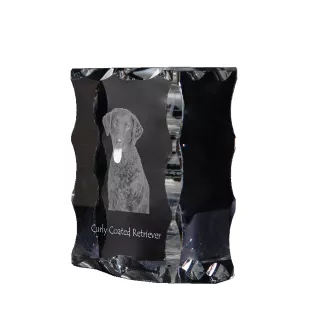 Curly Coated Retriever - crystal with a picture of a dog, glass statuette with a picture, unique frame with a picture from Art-Dog brand