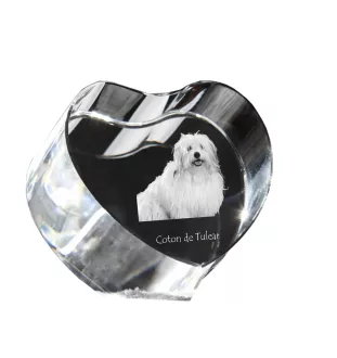 Coton de Tulear - une photo de chien dans un cristal, un cœur en cristal, un cadre photo exceptionnel de la marque Art-Dog