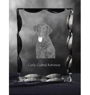 Curly Coated Retriever - crystal with a picture of a dog, glass statuette with a picture, unique frame with a picture from Art-Dog brand