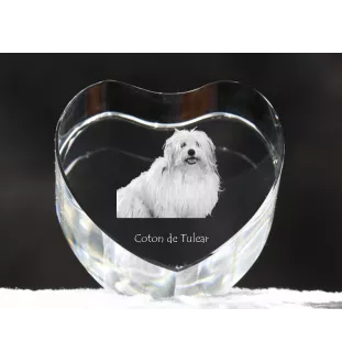 Coton de Tulear - une photo de chien dans un cristal, un cœur en cristal, un cadre photo exceptionnel de la marque Art-Dog