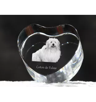 Coton de Tulear - une photo de chien dans un cristal, un cœur en cristal, un cadre photo exceptionnel de la marque Art-Dog
