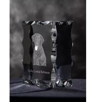 Curly Coated Retriever - crystal with a picture of a dog, glass statuette with a picture, unique frame with a picture from Art-Dog brand