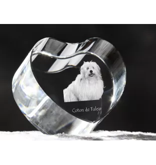 Coton de Tulear - une photo de chien dans un cristal, un cœur en cristal, un cadre photo exceptionnel de la marque Art-Dog