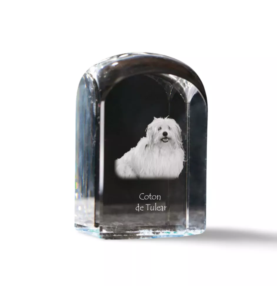 Coton de Tulear, Cotie - crystal cube with a photo, photo of a dog in crystal, cubic paperweight from Art-Dog brand