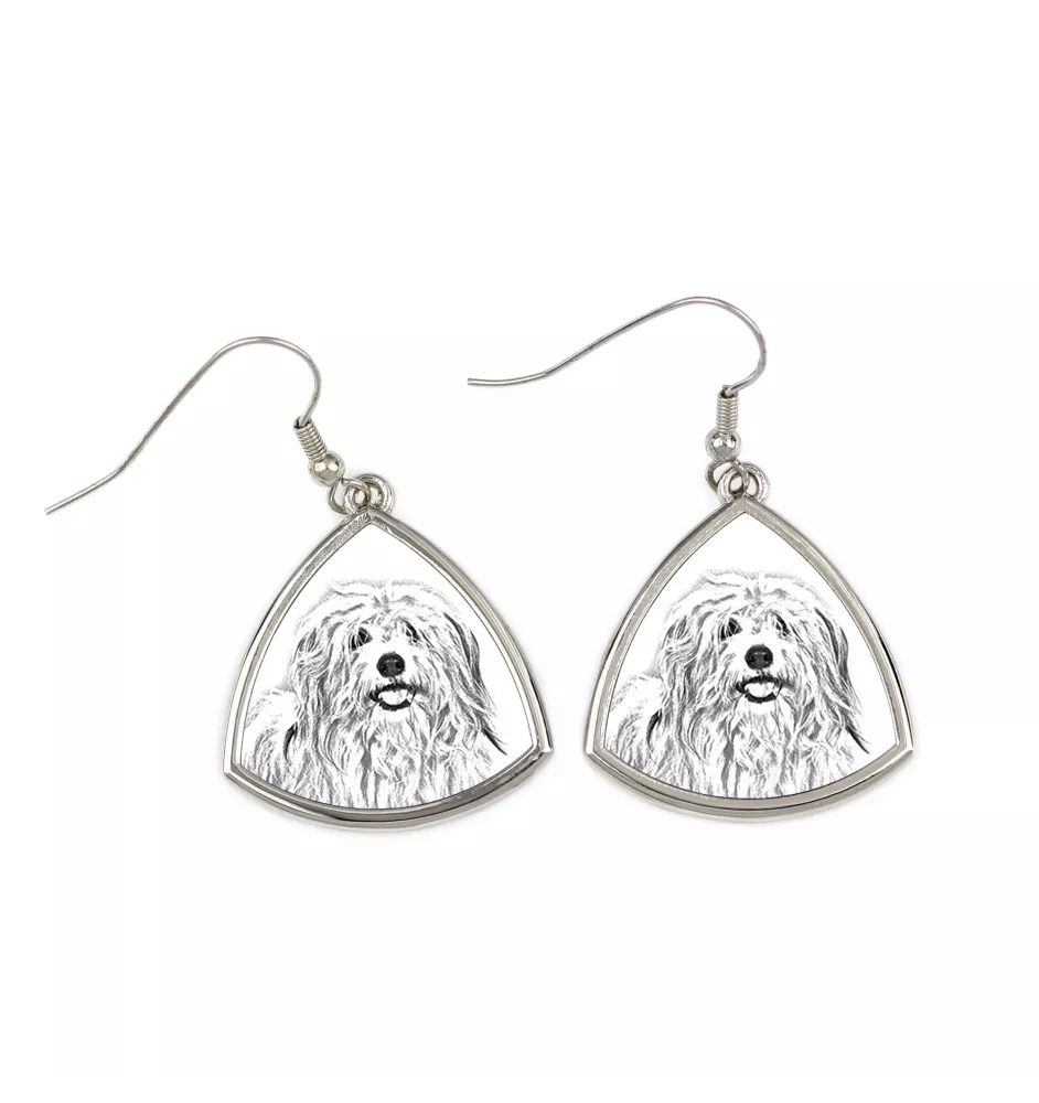 Coton de Tulear, Baumwollhund - Hund Ohrringe, hängende Ohrringe mit Bild, personalisierter Schmuck mit dem Aufdruck der Marke Art-Dog