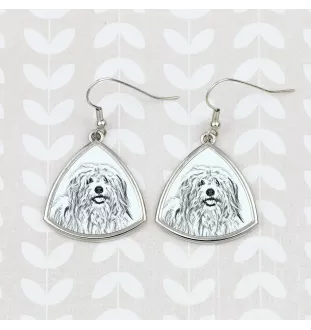 Coton de Tulear, Baumwollhund - Hund Ohrringe, hängende Ohrringe mit Bild, personalisierter Schmuck mit dem Aufdruck der Marke Art-Dog