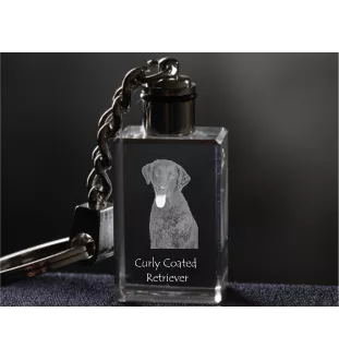 Retriever à poil bouclé, Curly Coated Retriever - Porte-clés en cristal avec photo de chien, porte-clés lumineux, cadeau unique de la marque Art-Dog