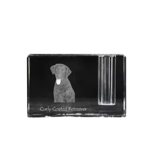 Curly Coated Retriever - Pen stand, crystal organiser with dog photo, unique desk decoration by Art-Dog brand