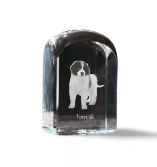 Tornjak, Berger de Bosnie-Herzégovine et de Croatie - un cube de cristal avec une photo, une photo de chien dans le cristal, un presse-papiers cubique de la marque Art-Dog