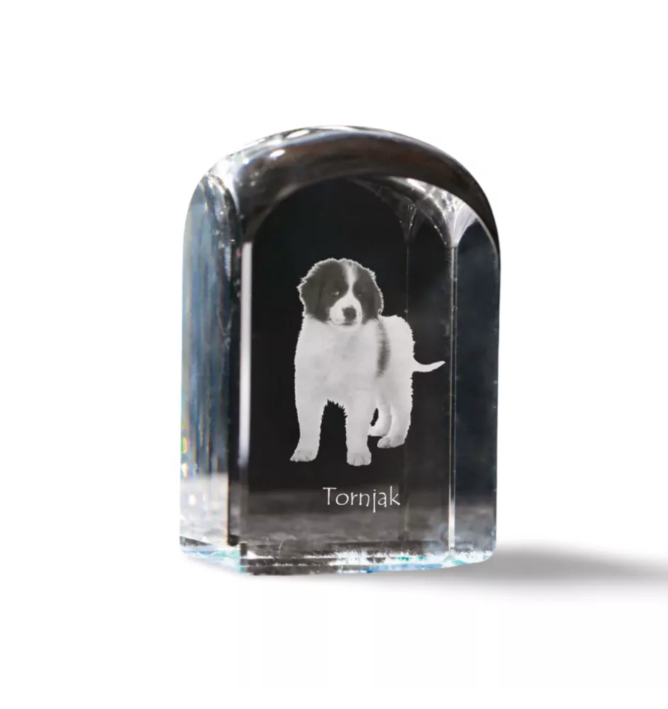 Tornjak, Berger de Bosnie-Herzégovine et de Croatie - un cube de cristal avec une photo, une photo de chien dans le cristal, un presse-papiers cubique de la marque Art-Dog