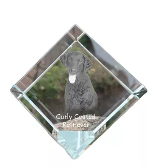 Retriever à poil bouclé, Curly Coated Retriever - un cube de cristal avec une photo, une photo de cheval dans le cristal, un presse-papiers cubique de la marque Art-Dog