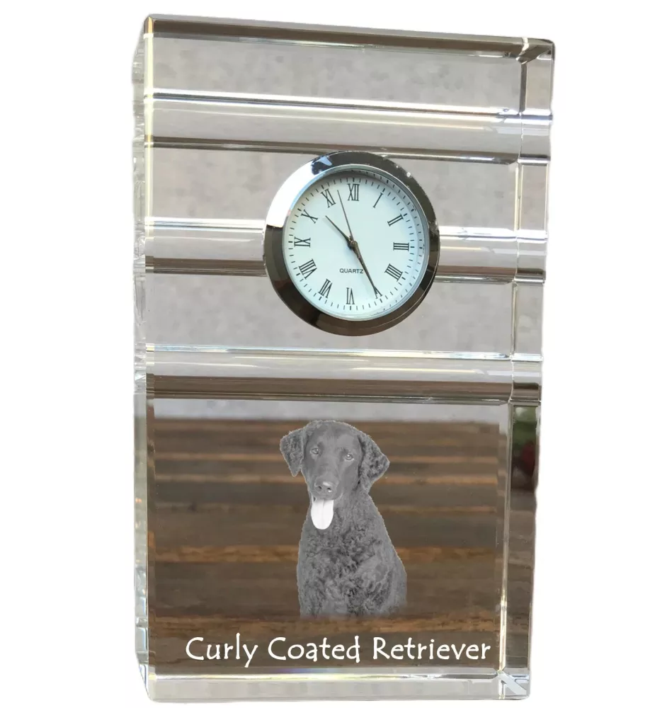 Retriever à poil bouclé, Curly Coated Retriever - une horloge en verre avec une photo, une photo de chien dans un cristal, une horloge de bureau personnalisée de la marque Art-Dog